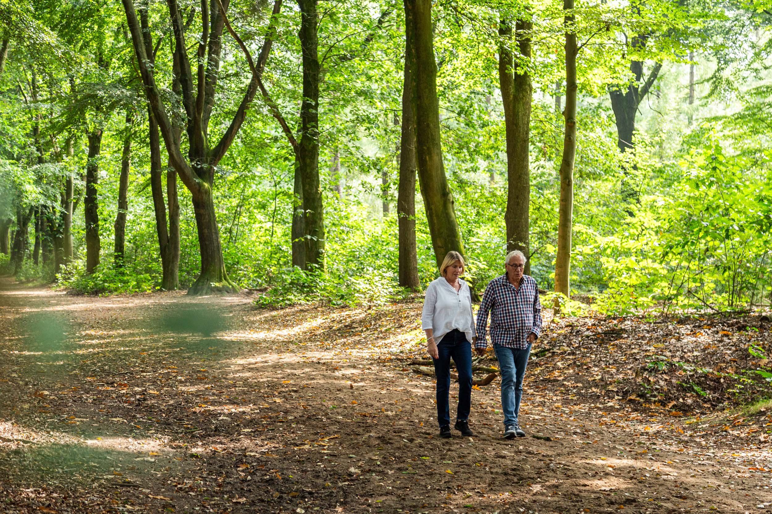 Landgoed de Scheleberg - Vakantiegasten in het bos wandelen - 1-1